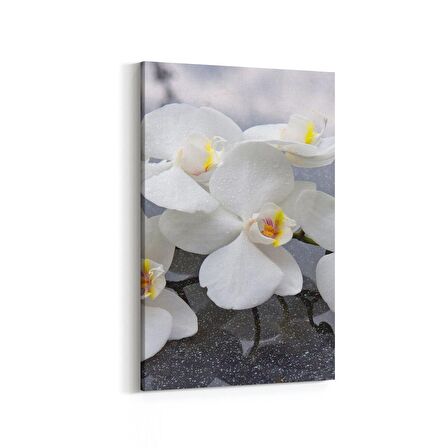 Olla 17099D Spa / Masaj Görseli Dikey Kanvas Tablo (Ölçü: 40X60)