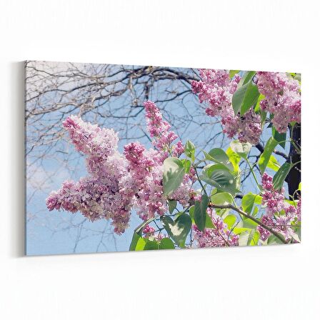 Olla 10853Y Ağaç Görseli Yatay Kanvas Tablo (Ölçü: 45X30)