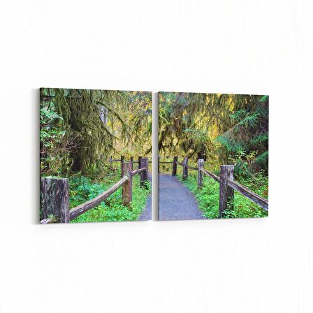 Olla 13305K2Y Doğa / Manzara Görseli Kare 2'li Yatay Kanvas Tablo (Ölçü: 85X40)