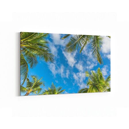 Olla 11521Y Palmiye Ağacı Görseli Yatay Kanvas Tablo (Ölçü: 70X50)
