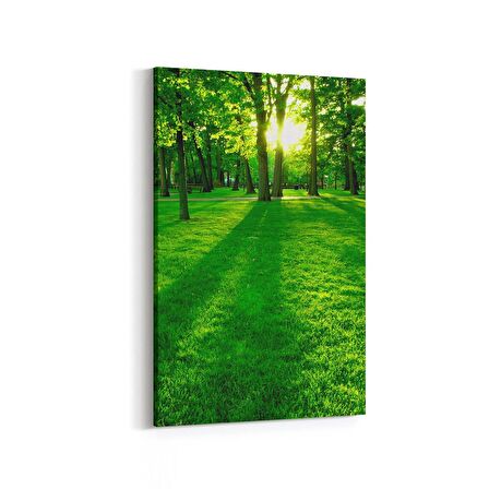 Olla 13929D Doğa / Manzara Görseli Dikey Kanvas Tablo (Ölçü: 60X90)