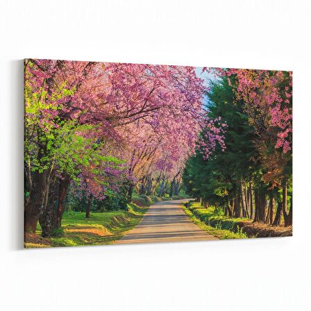 Olla 13984Y Doğa / Manzara Görseli Yatay Kanvas Tablo (Ölçü: 30X20)