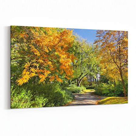 Olla 13272Y Doğa / Manzara Görseli Yatay Kanvas Tablo (Ölçü: 90X60)