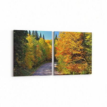 Olla 14015K2Y Doğa / Manzara Görseli Kare 2'li Yatay Kanvas Tablo (Ölçü: 145X70)