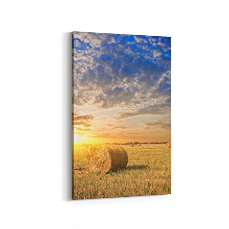 Olla 15909D Günbatımı Görseli Dikey Kanvas Tablo (Ölçü: 60X90)