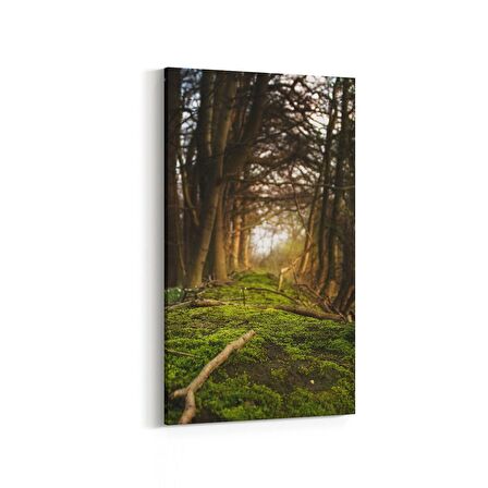Olla 14005DD Doğa / Manzara Görseli Dikey Dar Kanvas Tablo (Ölçü: 60X120)