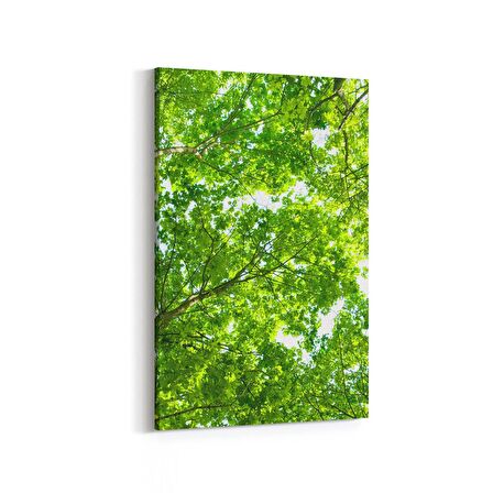 Olla 11045D Ağaç Görseli Dikey Kanvas Tablo (Ölçü: 20X30)