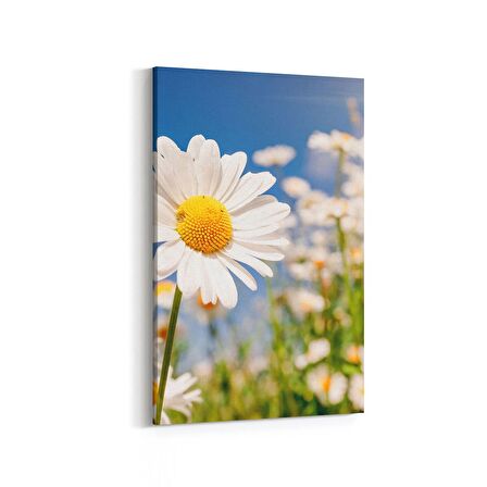 Olla 13543D Doğa / Manzara Görseli Dikey Kanvas Tablo (Ölçü: 60X90)
