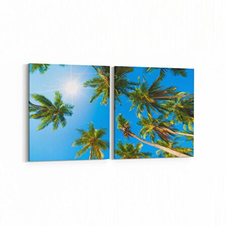 Olla 11491K2Y Palmiye Ağacı Görseli Kare 2'li Yatay Kanvas Tablo (Ölçü: 145X70)