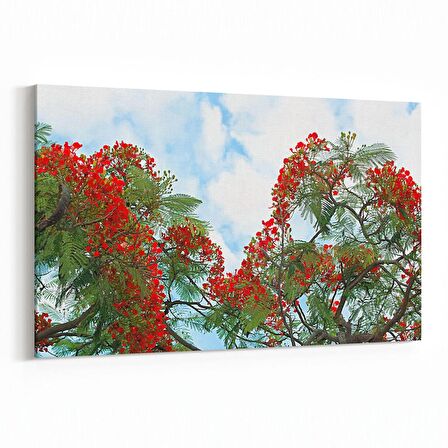 Olla 10596Y Ağaç Görseli Yatay Kanvas Tablo (Ölçü: 70X50)