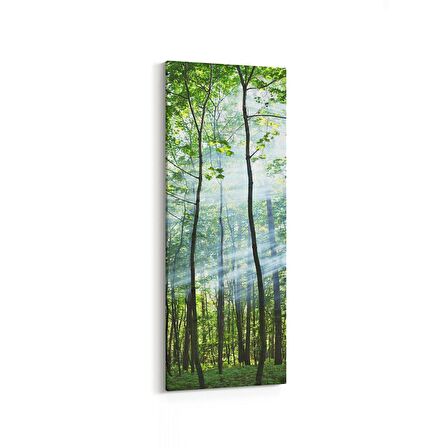 Olla 14621DI Doğa / Manzara Görseli Dikey İnce Kanvas Tablo (Ölçü: 40X120)