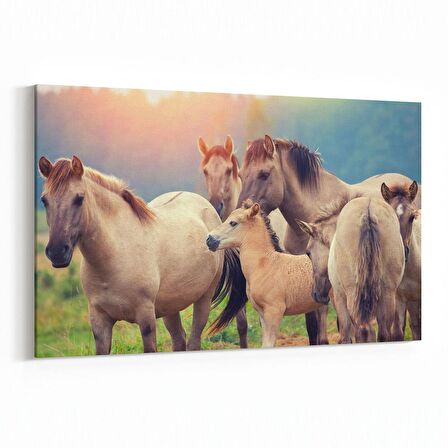 Olla 12573Y Hayvanlar Alemi Görseli Yatay Kanvas Tablo (Ölçü: 120X80)