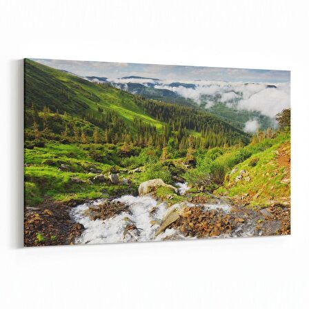 Olla 14614Y Doğa / Manzara Görseli Yatay Kanvas Tablo (Ölçü: 120X80)