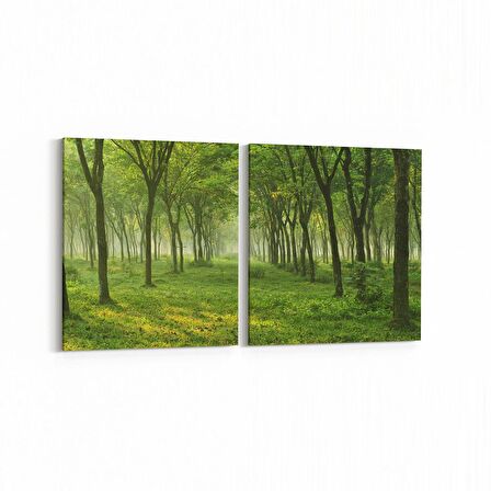 Olla 13535K2Y Doğa / Manzara Görseli Kare 2'li Yatay Kanvas Tablo (Ölçü: 105X50)
