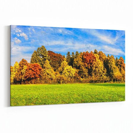 Olla 14131Y Doğa / Manzara Görseli Yatay Kanvas Tablo (Ölçü: 120X80)