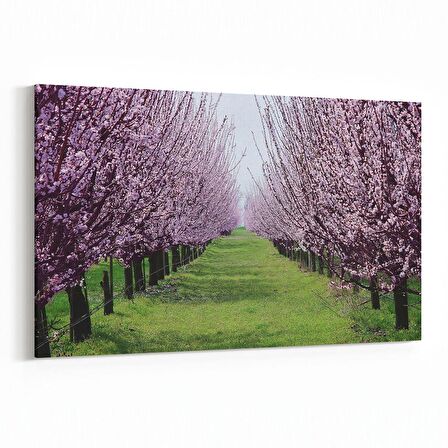 Olla 13453Y Doğa / Manzara Görseli Yatay Kanvas Tablo (Ölçü: 150X100)