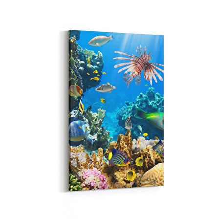 Olla 12206D Akvaryum / Balık Görseli Dikey Kanvas Tablo (Ölçü: 80X120)