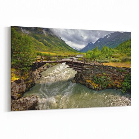 Olla 13519Y Doğa / Manzara Görseli Yatay Kanvas Tablo (Ölçü: 90X60)