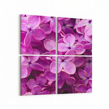Olla 11609K4 Çiçek Görseli Kare 4'lü Kanvas Tablo (Ölçü: 145X145)