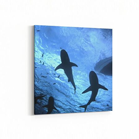 Olla 12924K Deniz / Okyanus Görseli Kare Kanvas Tablo (Ölçü: 25X25)