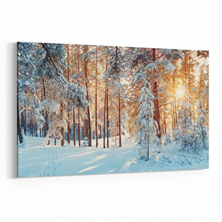 Olla 14462Y Doğa / Manzara Görseli Yatay Kanvas Tablo (Ölçü: 90X60)