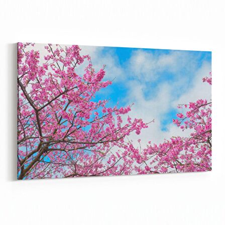 Olla 10475Y Ağaç Görseli Yatay Kanvas Tablo (Ölçü: 70X50)