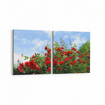 Olla 10632K2Y Ağaç Görseli Kare 2'li Yatay Kanvas Tablo (Ölçü: 145X70)