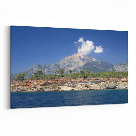 Olla 14013Y Doğa / Manzara Görseli Yatay Kanvas Tablo (Ölçü: 150X100)