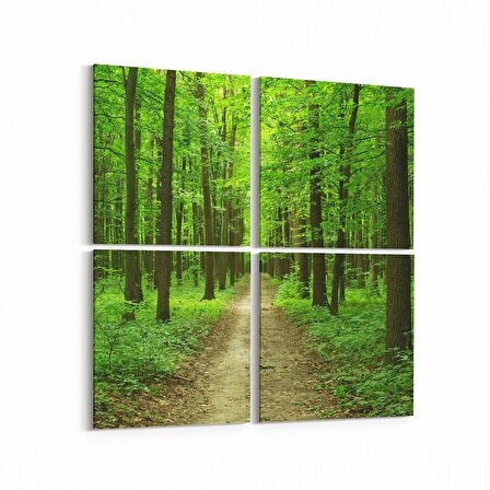 Olla 13645K4 Doğa / Manzara Görseli Kare 4'lü Kanvas Tablo (Ölçü: 65X65)