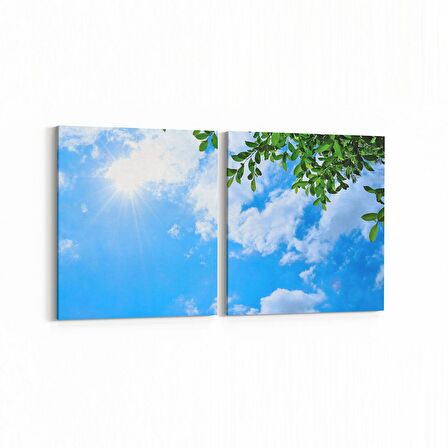 Olla 10840K2Y Ağaç Görseli Kare 2'li Yatay Kanvas Tablo (Ölçü: 65X30)