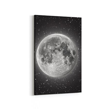 Olla 14705D Gece Gökyüzü Görseli Dikey Kanvas Tablo (Ölçü: 100X150)