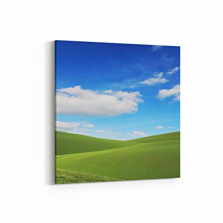 Olla 13827K Doğa / Manzara Görseli Kare Kanvas Tablo (Ölçü: 30X30)