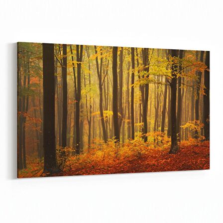 Olla 13356Y Doğa / Manzara Görseli Yatay Kanvas Tablo (Ölçü: 150X100)