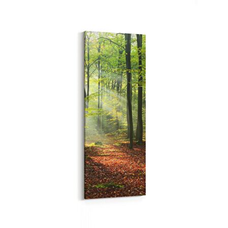 Olla 14355DI Doğa / Manzara Görseli Dikey İnce Kanvas Tablo (Ölçü: 40X120)