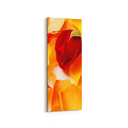 Olla 11616DI Çiçek Görseli Dikey İnce Kanvas Tablo (Ölçü: 40X120)