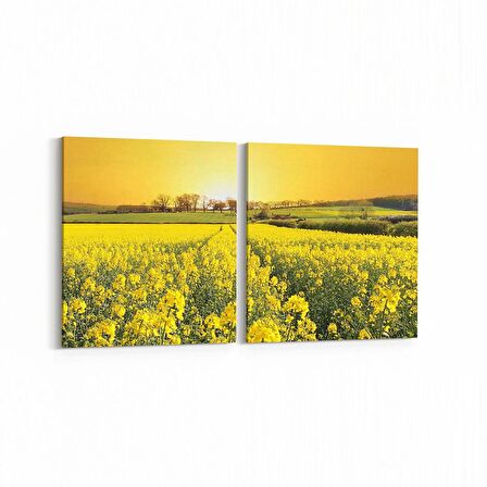 Olla 13536K2Y Doğa / Manzara Görseli Kare 2'li Yatay Kanvas Tablo (Ölçü: 145X70)