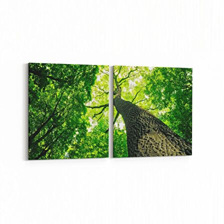 Olla 11051K2Y Ağaç Görseli Kare 2'li Yatay Kanvas Tablo (Ölçü: 125X60)