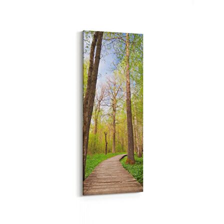 Olla 13445DI Doğa / Manzara Görseli Dikey İnce Kanvas Tablo (Ölçü: 40X120)