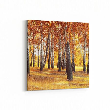 Olla 14096K Doğa / Manzara Görseli Kare Kanvas Tablo (Ölçü: 30X30)