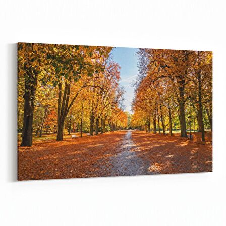 Olla 14162Y Doğa / Manzara Görseli Yatay Kanvas Tablo (Ölçü: 30X20)