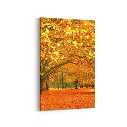 Olla 14088D Doğa / Manzara Görseli Dikey Kanvas Tablo (Ölçü: 40X60)