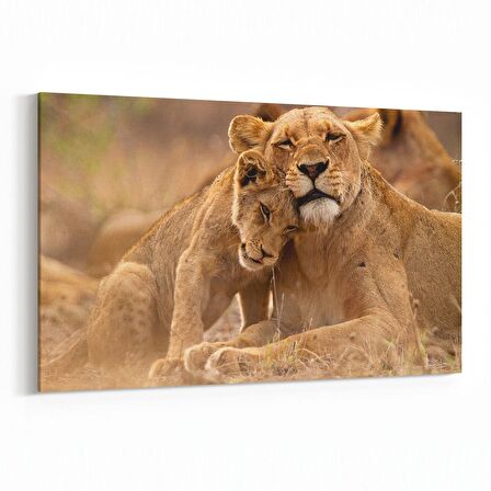 Olla 12468Y Hayvanlar Alemi Görseli Yatay Kanvas Tablo (Ölçü: 30X20)