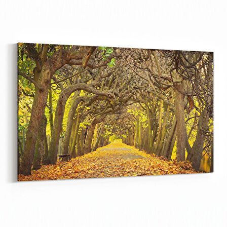 Olla 13366Y Doğa / Manzara Görseli Yatay Kanvas Tablo (Ölçü: 150X100)