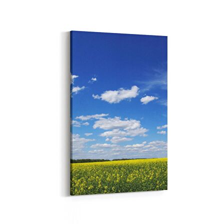 Olla 13965D Doğa / Manzara Görseli Dikey Kanvas Tablo (Ölçü: 100X150)