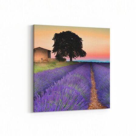 Olla 13542K Doğa / Manzara Görseli Kare Kanvas Tablo (Ölçü: 25X25)