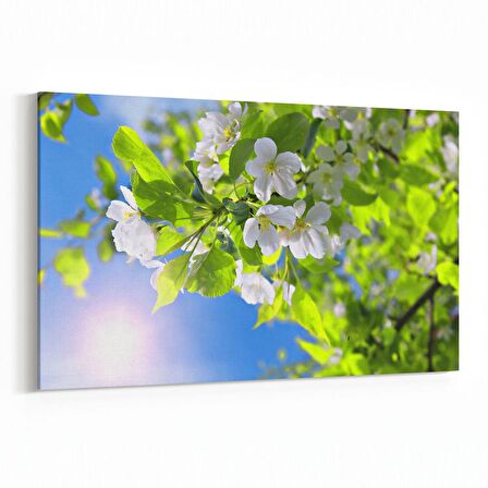 Olla 10798Y Ağaç Görseli Yatay Kanvas Tablo (Ölçü: 120X80)