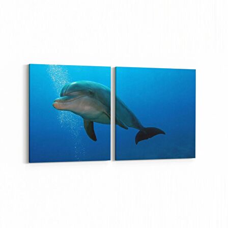 Olla 12956K2Y Deniz / Okyanus Görseli Kare 2'li Yatay Kanvas Tablo (Ölçü: 145X70)