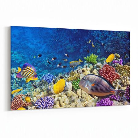 Olla 12065Y Akvaryum / Balık Görseli Yatay Kanvas Tablo (Ölçü: 30X20)