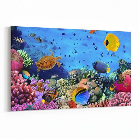 Olla 12058Y Akvaryum / Balık Görseli Yatay Kanvas Tablo (Ölçü: 70X50)