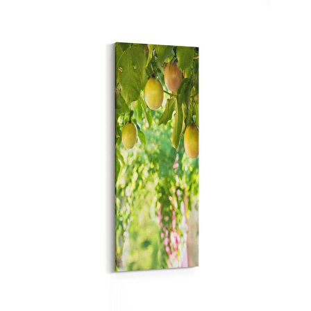 Olla 14962DI Gıda Görseli Dikey İnce Kanvas Tablo (Ölçü: 40X120)